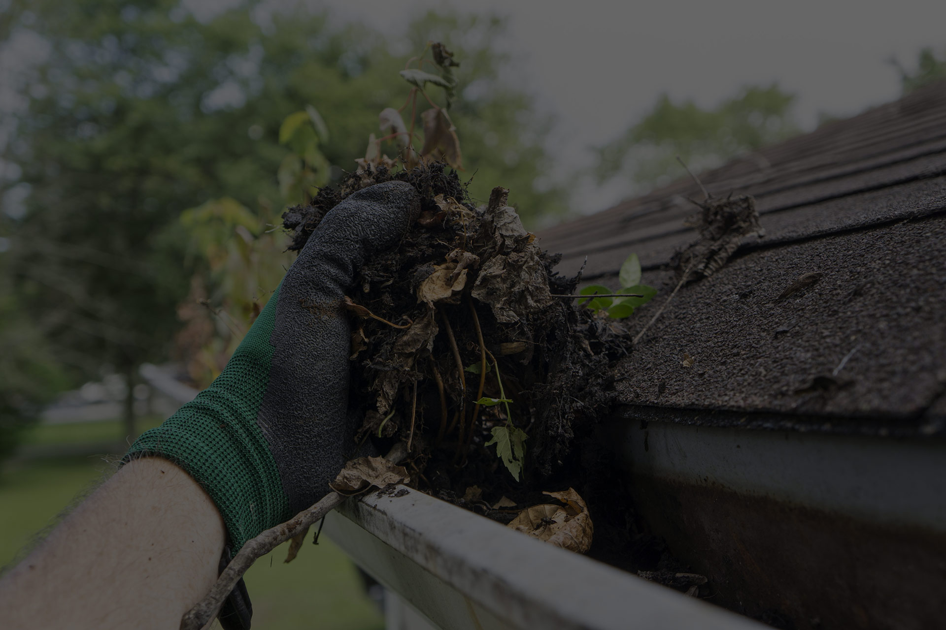 Gutter cleaning services